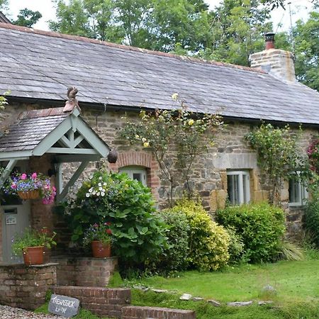 Trewassick Barn Bed & Breakfast New Quay Exterior foto
